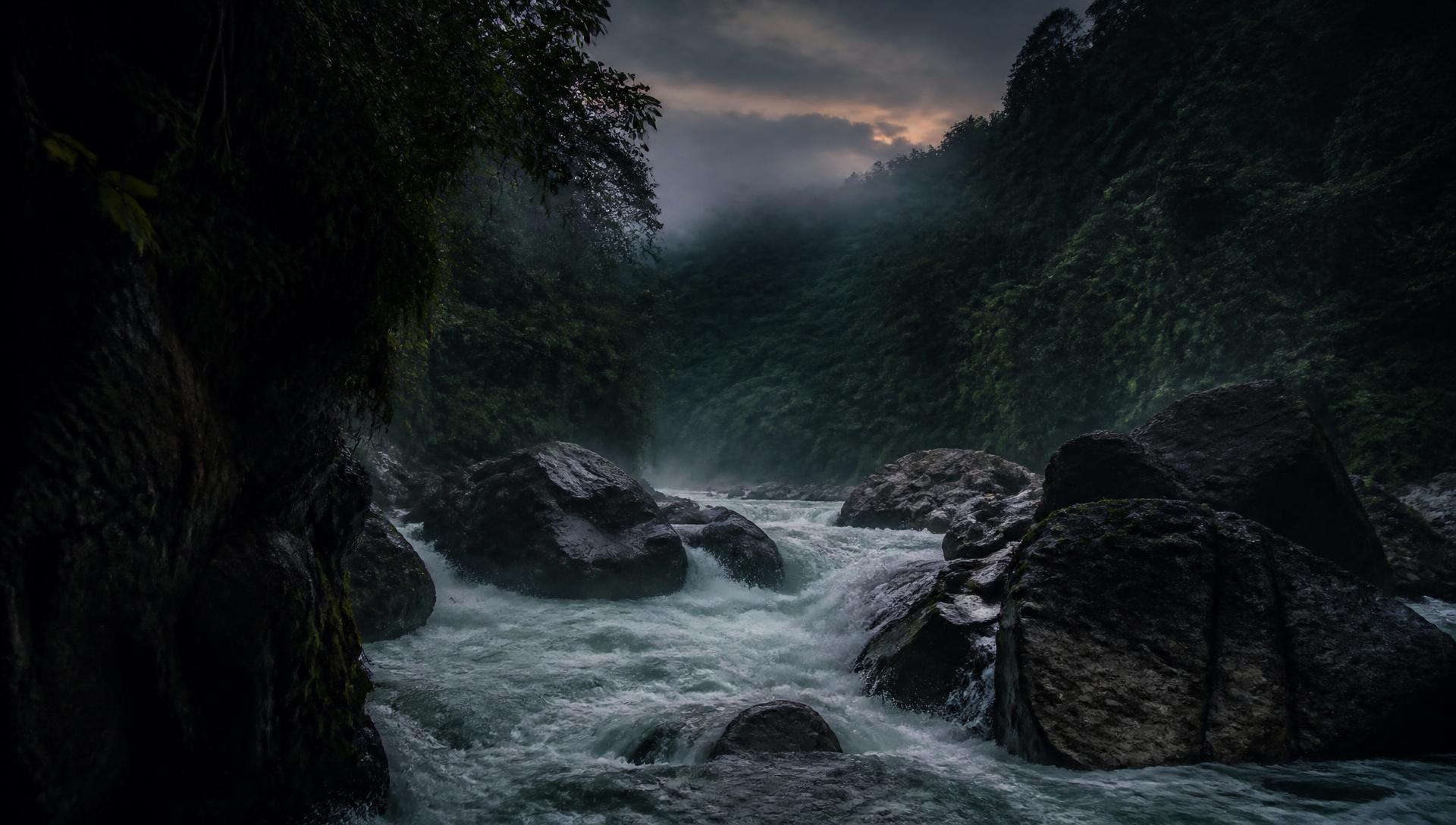 Rainforest river at dusk