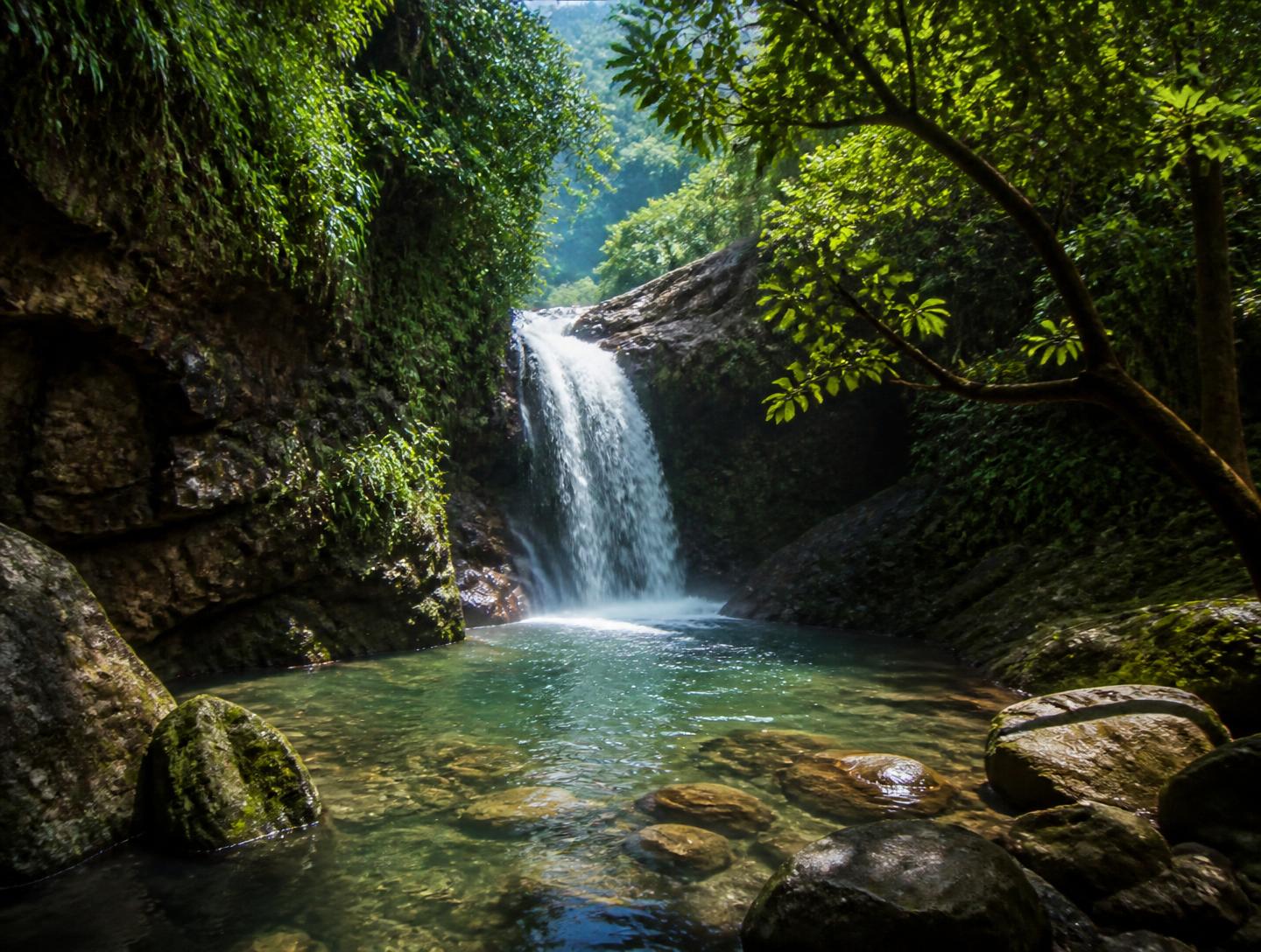 Waterfall falling into a natural rainforest pool
